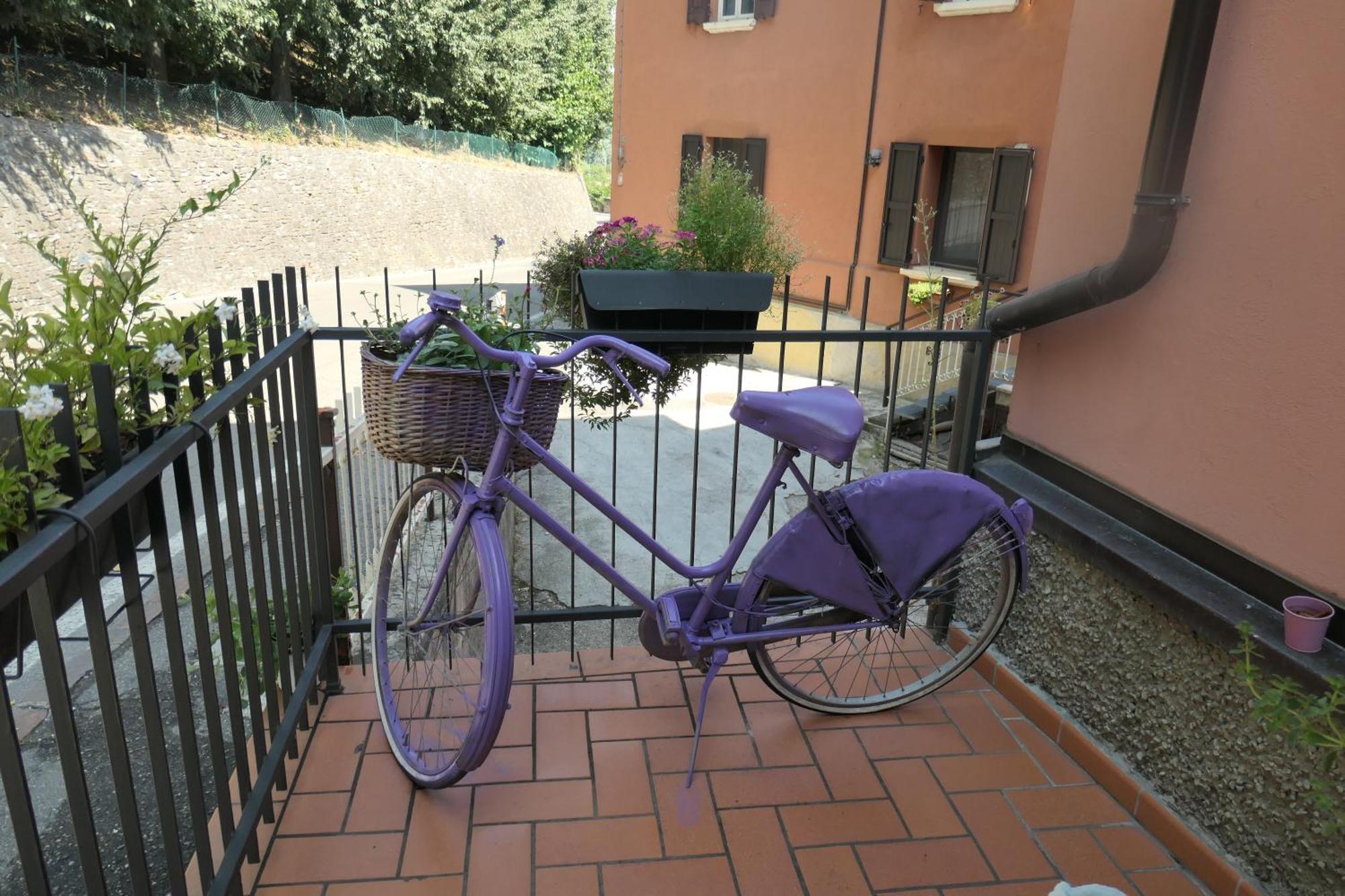 B&B Luna Castelvetro di Modena Esterno foto